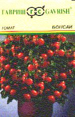 Бонсай
