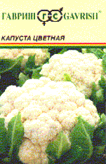 Сноубол 123