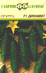 Динамит