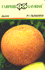 Галилей