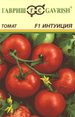 Интуиция