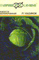 Казачок