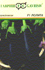 Лолита