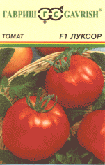 Луксор