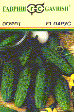 Парус
