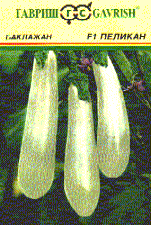 Пеликан