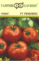 Рефлекс