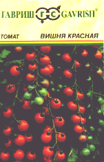 Вишня красная