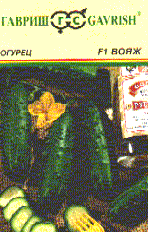 Вояж