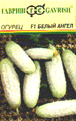 Белый ангел