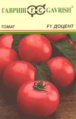 Доцент