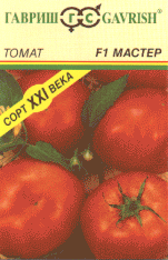 Мастер